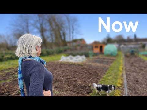 Building Something New - Freedom Lifestyle - Episode 227