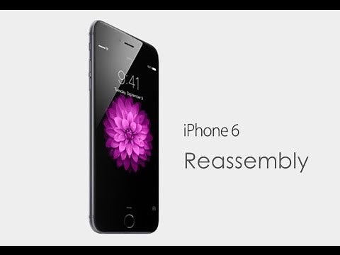 How to Reassemble iPhone 6