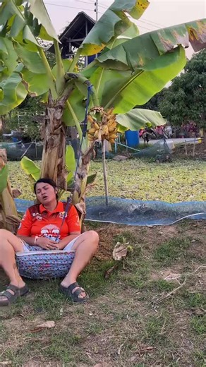 Exploring Ballibot: The Ultimate Travel Companion