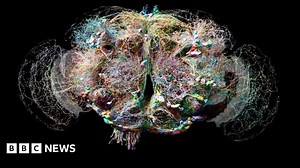 The uplifting science stories that turned heads in 2024