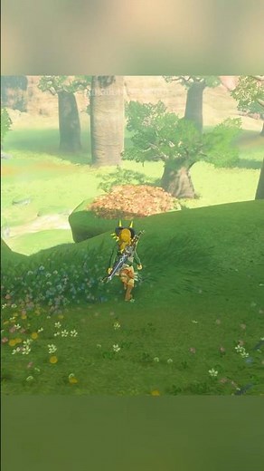 Korok Guide: Find Korok Seeds in Zelda: Breath of the Wild!