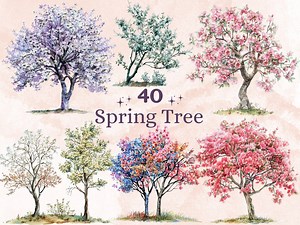 40 PNG Watercolor Spring Tree Clipart, Floral Spring Forest Tree Illustrations Clip Art, Fantasy Pine Trees Png, Woodland Forest Sublimation - Etsy