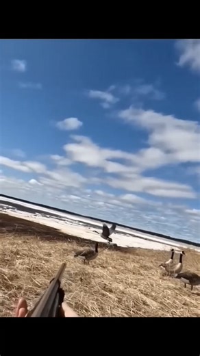 🦆 Duck Hunting in Russia 🇷🇺 | Утиная охота🔥 Russian Duck Hunting Action | Охота на