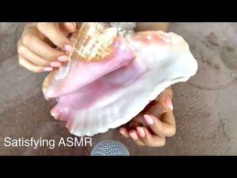 💤 Satisfying ASMR with Queen Conch Shell, for Deep Sleep | No Talking