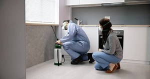 Woman Looking Exterminator Worker Spraying Insecticide Stock Footage Video (100% Royalty-free) 1100767365 | Shutterstock