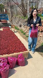 Pitting Jujube Dates: A Simple Tutorial"- "Jujube Date Preparation: Removing the Pit
