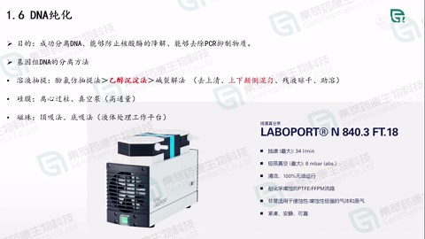 集光讲坛丨小鼠基因型鉴定及常见问题