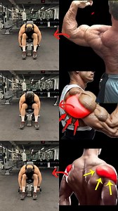 219K views · 1.5K reactions |  Focus on Form: Master the Bent-Over Dumbbell Raise to target those rear delts like a pro!  Engage the right muscles for stronger, well-defined shoulders.#RearDelts #ShoulderStrength #FitnessForm #WorkoutTips | Sidfitfacts | Facebook