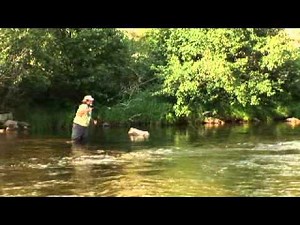 Flyfishing - Mending and Line Control for Nymphing