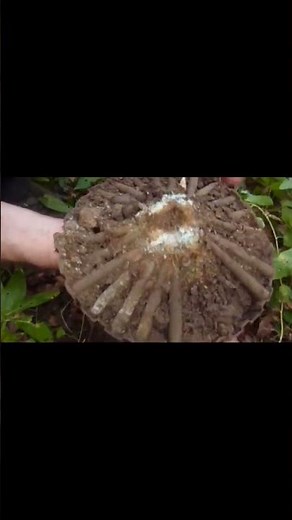 LEWIS machine gun magazine ww1 1914