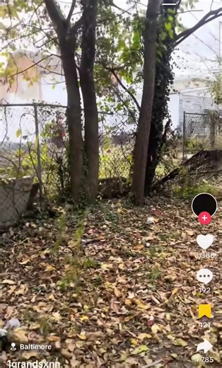 58K views · 1K reactions | Baltimore Police Department running down a man in his squad car, ultimately crashing into private property. This is Trump's America. | We Support Democracy | Facebook