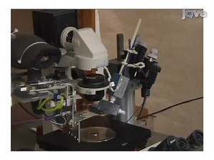 Recapitulation of an Ion Channel IV Curve Using Frequency Components