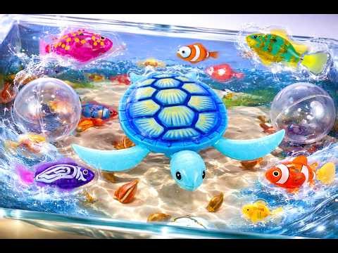 ASMR Satisfying unboxing Magical Aquarium Turtle & Fish Tank Playset Robo Alive Toy AQUA FUN ASMR