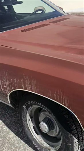 Nineteen seventy classic monty Carlo 1974