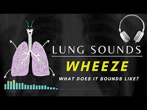 Wheezing Lung Sounds | Types of Crackles | Adventitious Respiratory Sounds #respiratorydiseases