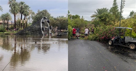 Phoenix Zoo to reopen on Friday following devastating storm damage