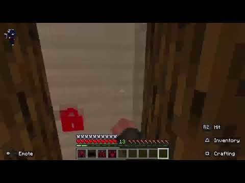 Minecraft smp realm code in chat