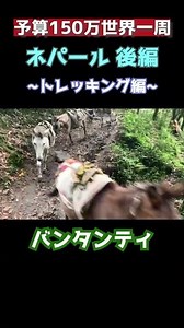 🇳🇵1min travelling in Nepal. Trekking Vo.1🇳🇵#Kathmandu #Pokhara #shorts #worldtraveler