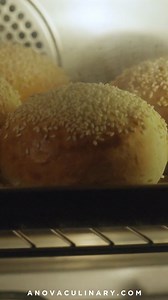 82 reactions | Meet the Anova Precision™ Oven 2.0 -- A countertop oven powered by precision, steam, and Anova Intelligence. | Anova | Facebook