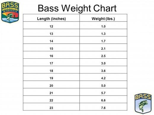 Fish Facts: Largemouth Bass Weight Chart - The Jump