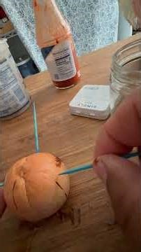 How to grow an avocado tree from seed