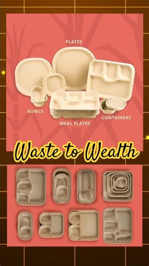 This Indian Startup Replaced Plastic for KFC & Haldiram’s | Ep 6