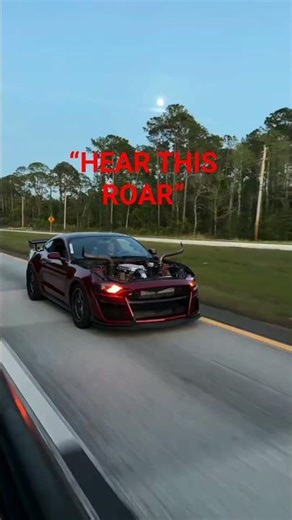 Bullhorn Wild Horse 😳 This Beast Sounds INSANE! (Mustang Rage)#Mustang #MuscleCar #CarCulture