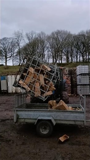Loader Loading a Log Trailer | Forestry Work