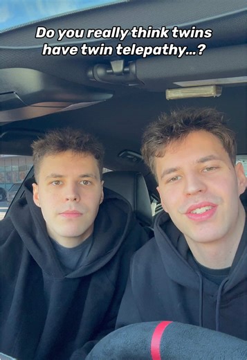 Hilarious Prank on Monkeys That You Must Watch