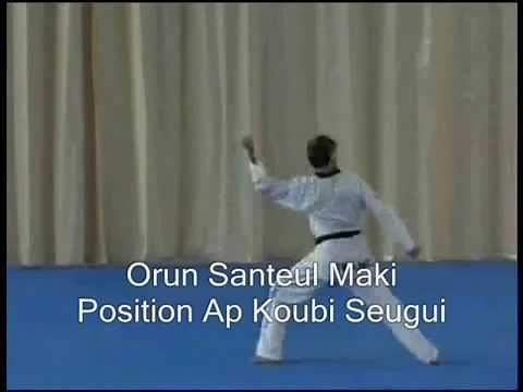 Taekwondo Poomse Poomse 8 Taegueug Pal Jang avec descriptif