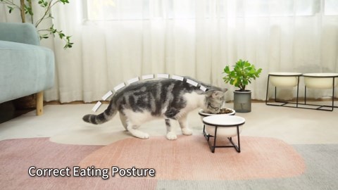 Ceramic Elevated Dog Bowl Set - Raised Double Feeding Bowls with Metal Stand - Pet Dishes for Medium and Large Dogs - 3.5 Cups - 54 fl oz - Matte White