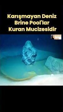 Neden Brine Pool'lar Kuran Mucizesidir
