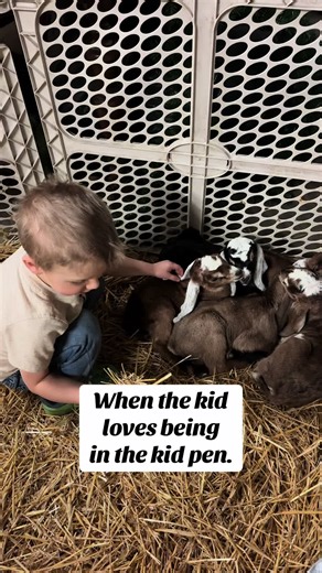 My youngest use to be deathly afraid of goats! He would scream and cry whenever they would even get near him, even the baby goat kids! Not sure who was more traumatized him or my adult goats?! Well this year he finally overcame his fear of goats. Maybe it’s cause he has Daddy daycare everyday and he’s been helping with cow chores at the main farm?! Either way I’m happy and He’s happy! Every morning he wants to be put into the kid pen to give them some love. He thought I was taking a photo, that’