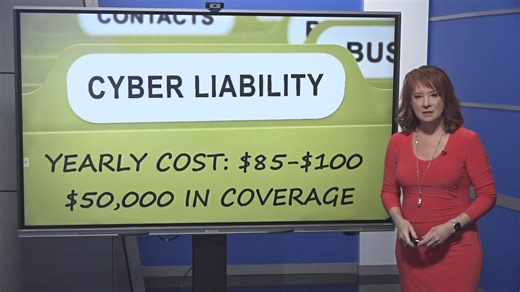 Cyber liability insurance | 2 Wants to Know