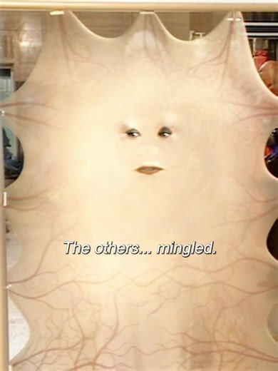 It's better to die than to live like you, a bitchy trampoline.#shortsvideo #youtubeshorts #shorts