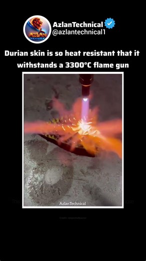Durian Skin vs 3300°C Flame Gun | Nature's Most Heat Resistant Armor Tested! #science #experiment