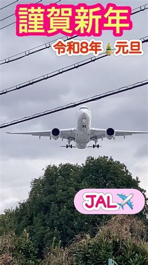 🟢着陸態勢✈️JAL‼️2026年も飛行機🛩️いっぱい見よう🤗💓音もお楽しみください♪🥰#jal #japanairlines #豊中市 #日本航空 #飛行機 #plane #shorts