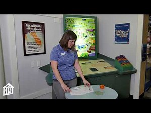 City Budget Game - Brain Break