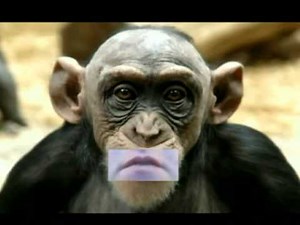 The Creepy Monkey Happy Birthday Song