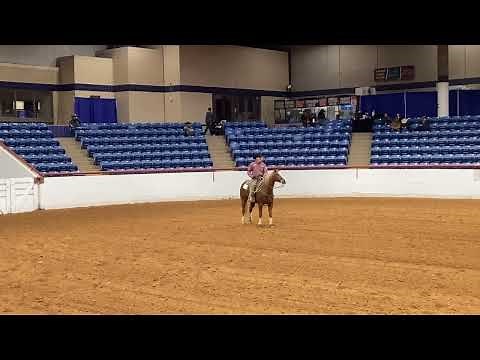 Stock Horse of Texas Class Descriptions: Ranch Reining