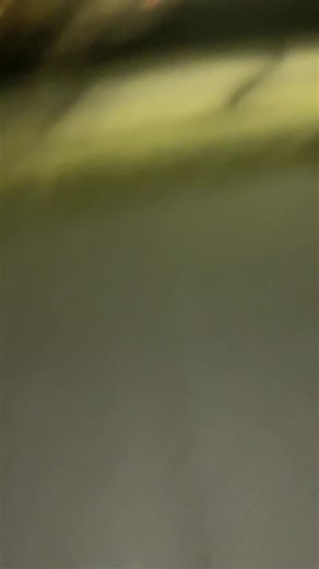 sianna💋💋 (@this.is.not.sianna)’s videos with we dont talk anymore - 🌟🐆