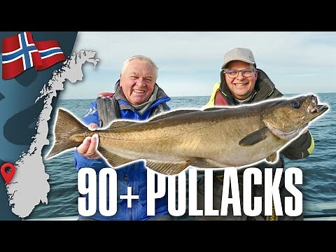 Mit Horst Hennings auf XL-Pollack & Dorsch in Norwegen / Angeln in Bremanger 🇳🇴
