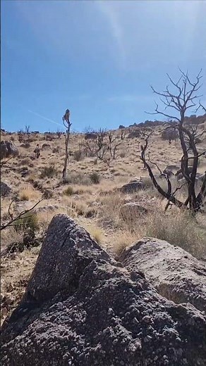 Hiking Teutonia Peak Trail in Mojave National Preserve #california #march #winter #2025