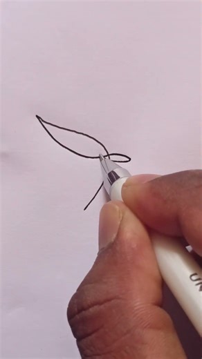 Bird one line drawing #shorts