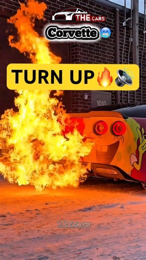 This Sound Gave Me Goosebumps 😳🔥