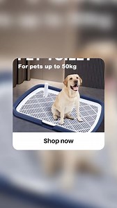Make indoor potty breaks easier with the Dog Potty Training Toilet. Designed to hold pee pads securely, it helps keep your floors clean and your pet comfortable. At $44.99, it’s a smart addition to your training routine. Ready to shop? Check out the link in our bio! #DogPottyTraining #IndoorPetToilet #PetTrainingTools | Burford Pets Enterprise