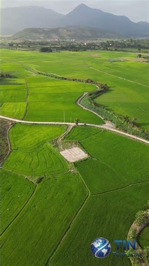 Why did Cambodia have to ring the gong for a 'second groundbreaking ceremony'? How does this acti...