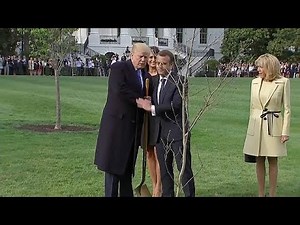 Macrons open US state visit with dinner with the Trumps