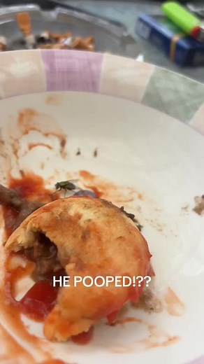 Unbelievable! Witness a Fly Pooping in Action