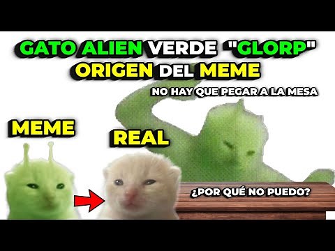GREEN ALIEN CAT “GLORP” 🐱🛸 | DON'T HIT THE TABLE | ORIGIN of the MEME
